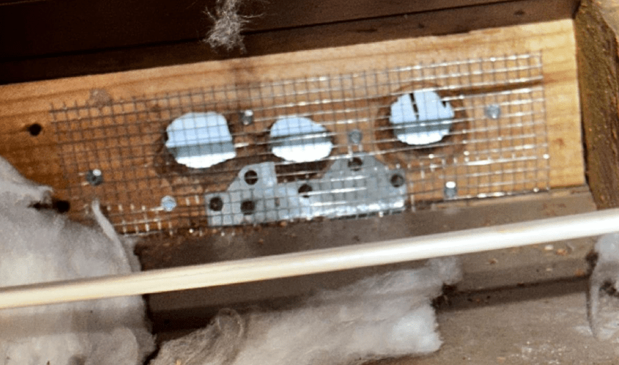 RODENT PROOFING